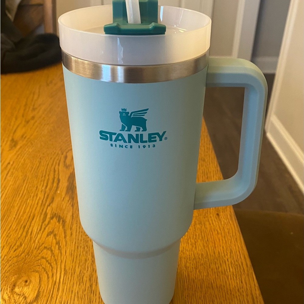 OG- EUC Seafoam Stanley